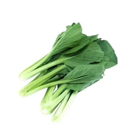 어린 카이란 잎