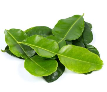 Fresh Kaffir Lime Leave