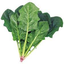 일본산 시금치 100g (1팩)