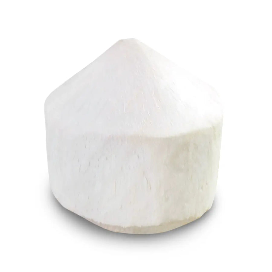 Fresh Coconut Nam Hom (Cone)