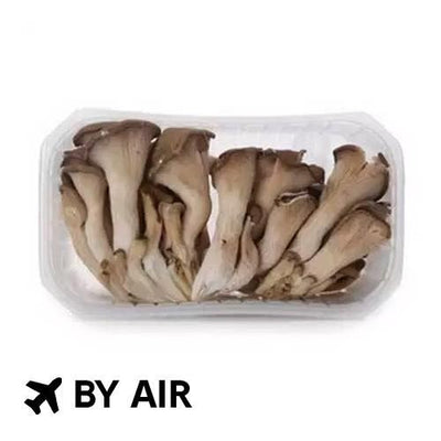 Korean Nutari Oyster Mushroom(Pack)