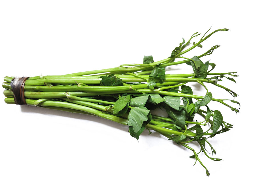 Morning Glory (Thai)