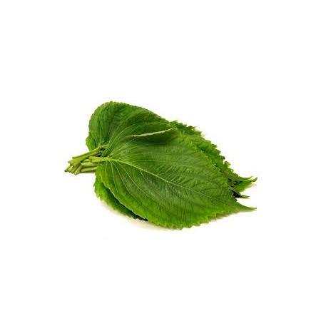 일본 깻잎, 차조기 잎 (팩당)