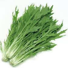 일본 미즈나, 잎갓 200g (팩당)