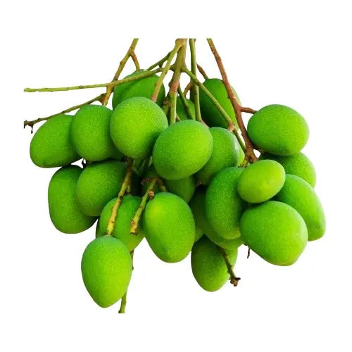 مانجو تايلاندي صغير حامض (باو)