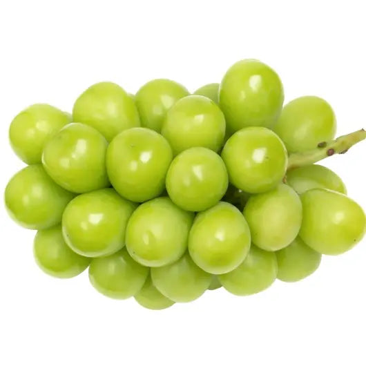 شاين مسقط