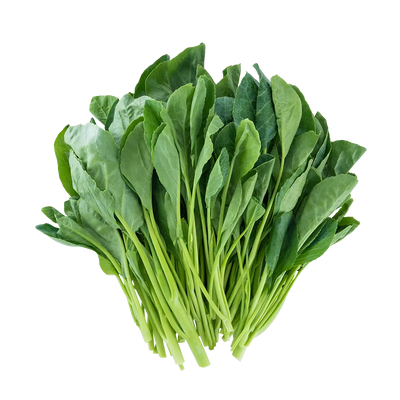 Young Chinese Kale