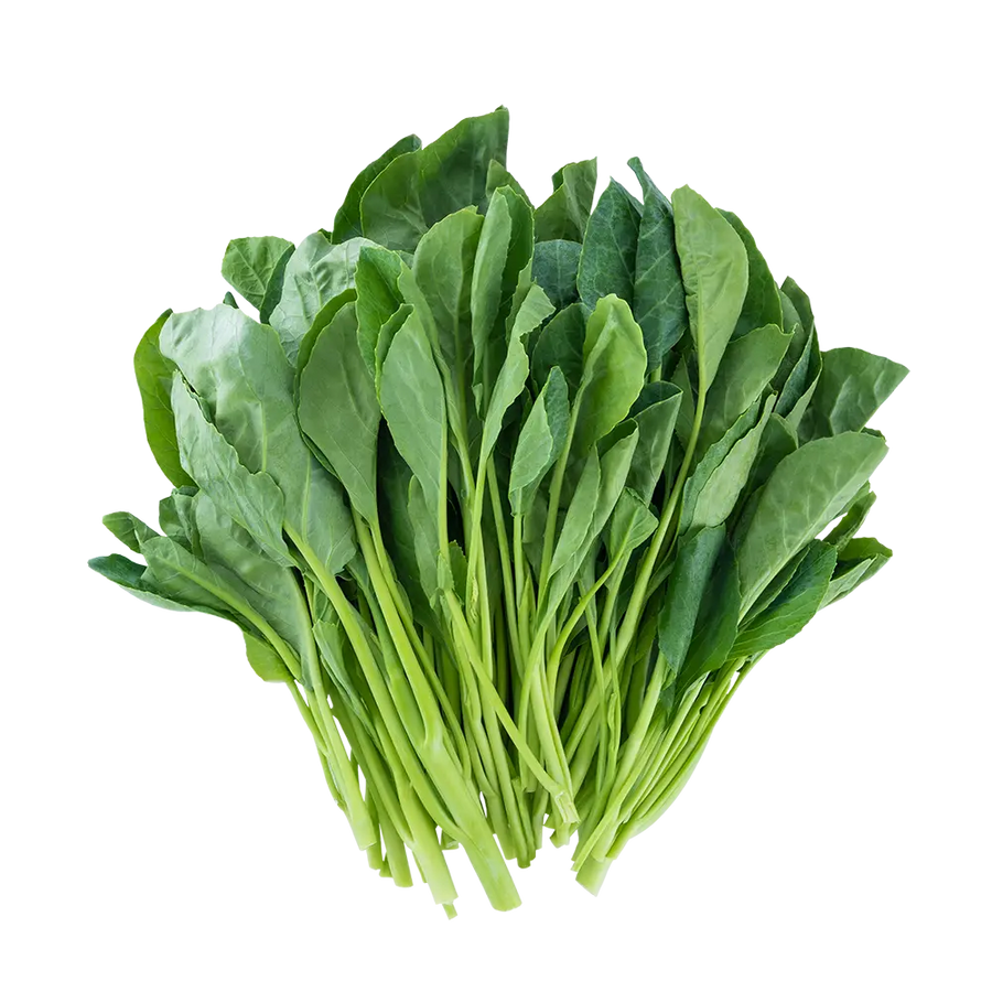 Young Chinese Kale