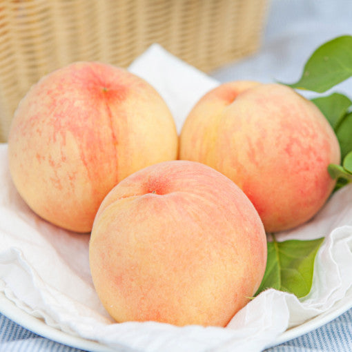 White Peach (Soft)